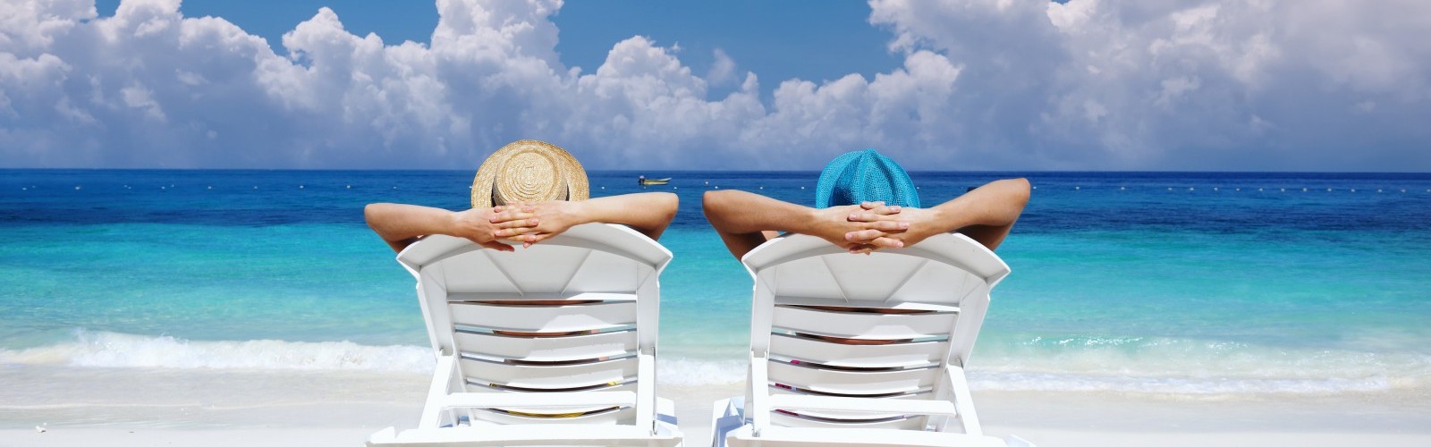 Terms and Conditions