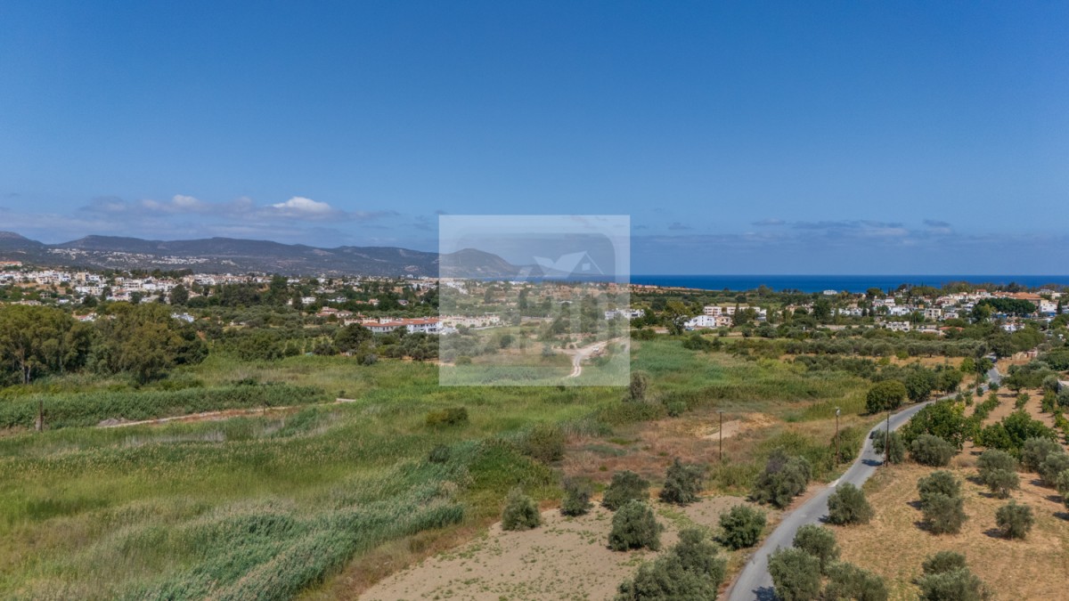 Polis, Polis Studio For Sale | 3085