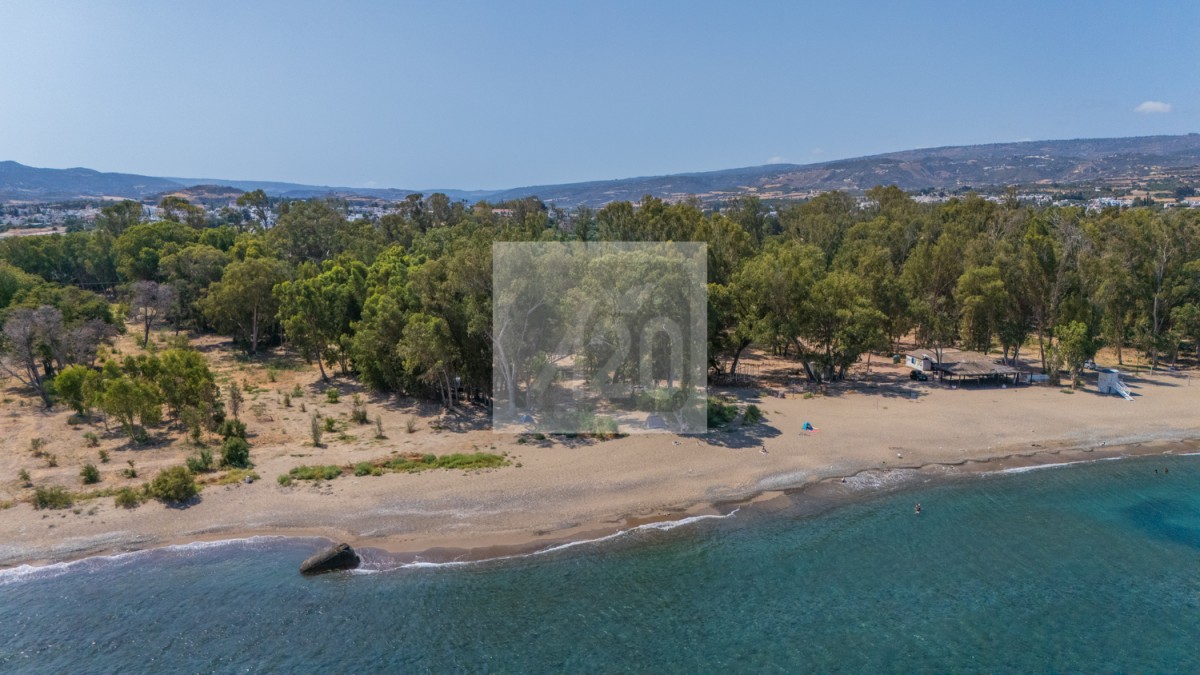 Polis, Polis Studio For Sale | 3085