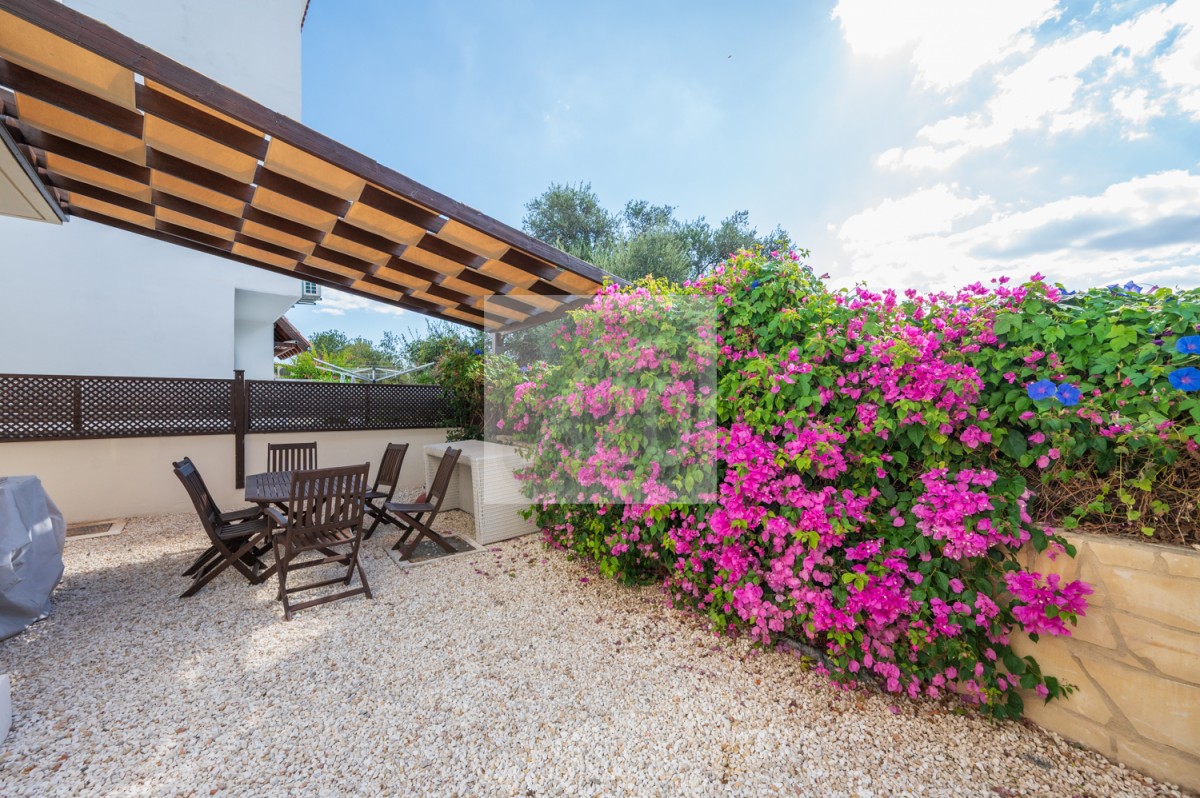 Prodromi, Polis Ground Floor Apartment For Sale | 3095