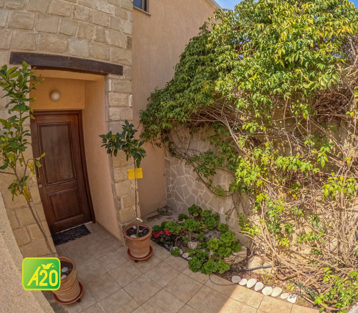 Arodes, Polis Detached Villa For Sale | 3113