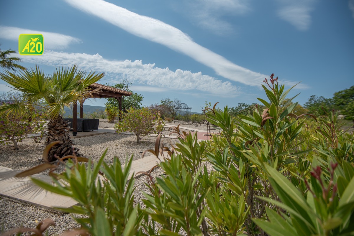 Simou, Polis Detached Villa For Sale | 3114