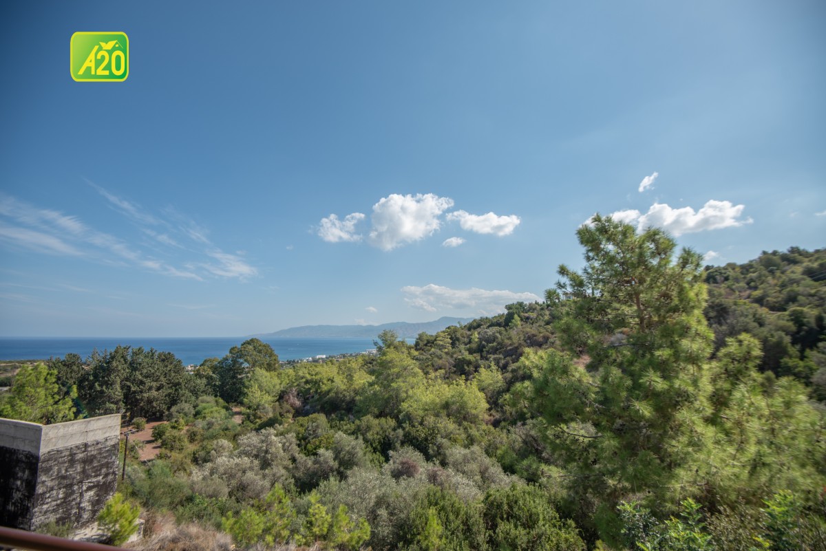 Neo Chorio, Polis Detached House For Sale | 3139