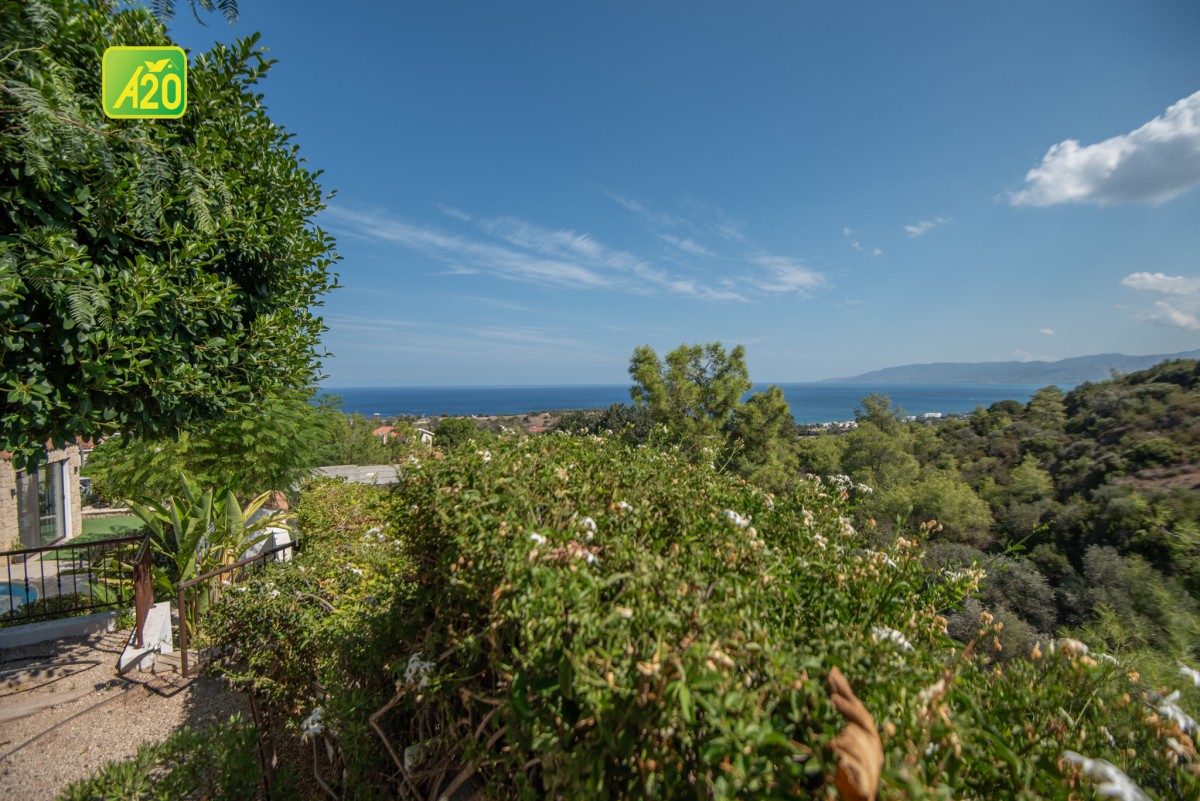 Neo Chorio, Polis Detached House For Sale | 3139