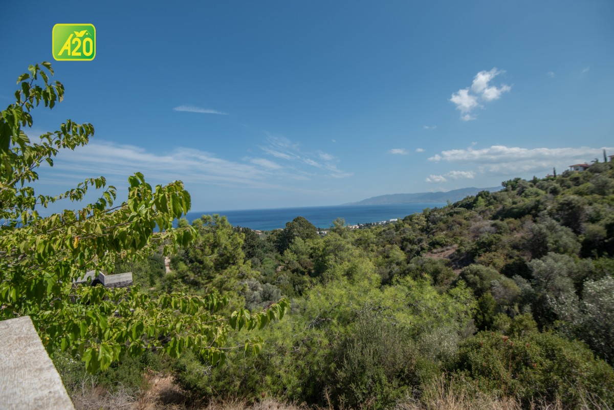 Neo Chorio, Polis Detached House For Sale | 3139