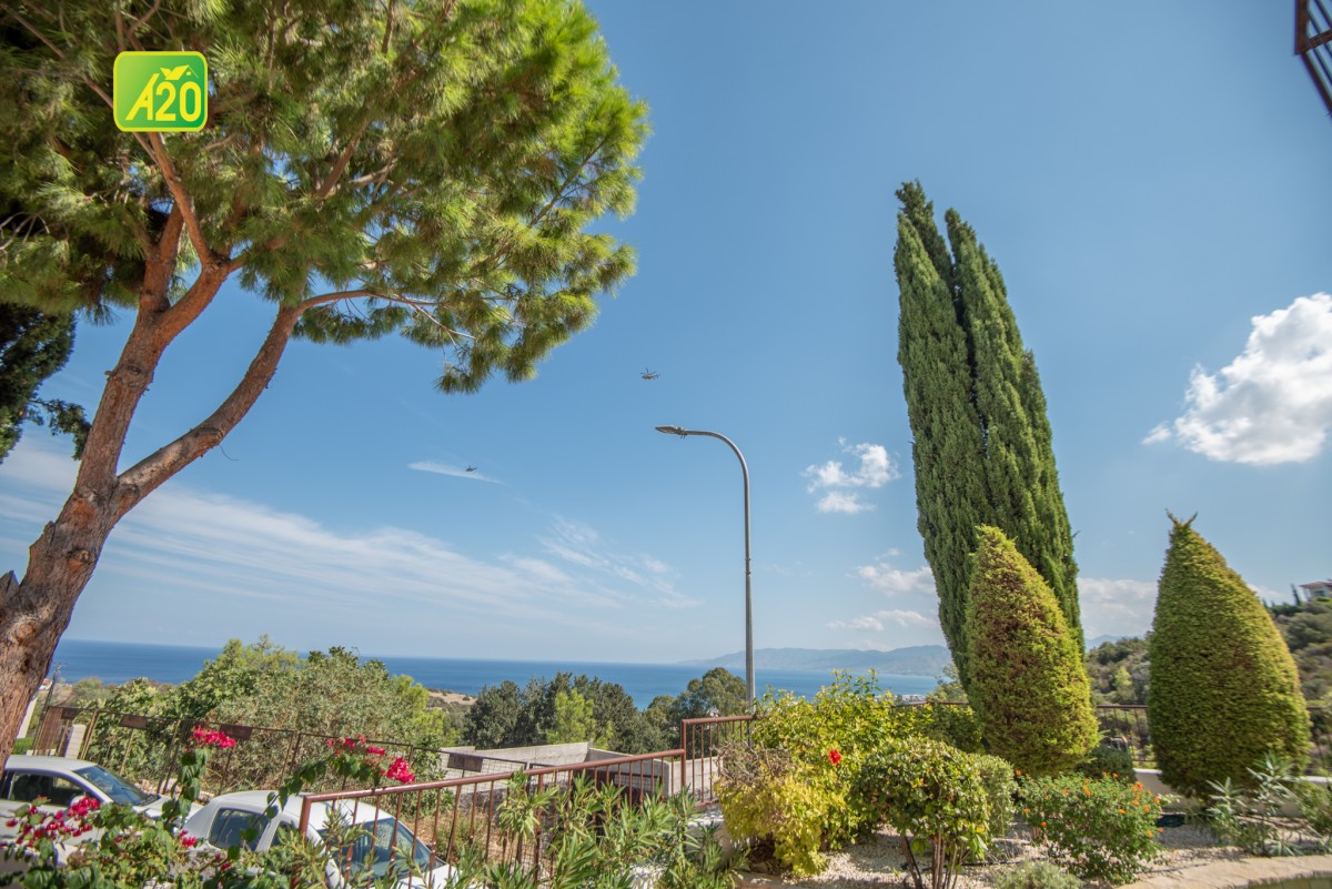 Neo Chorio, Polis Detached House For Sale | 3139